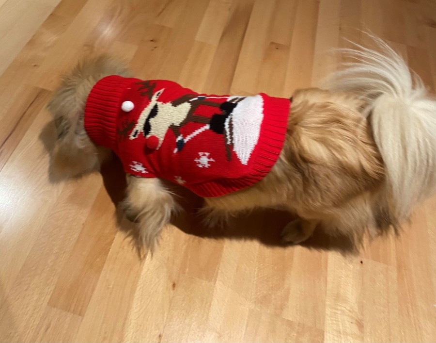 Andet Vero Moda Curve | Vmdog Sweater Xmas